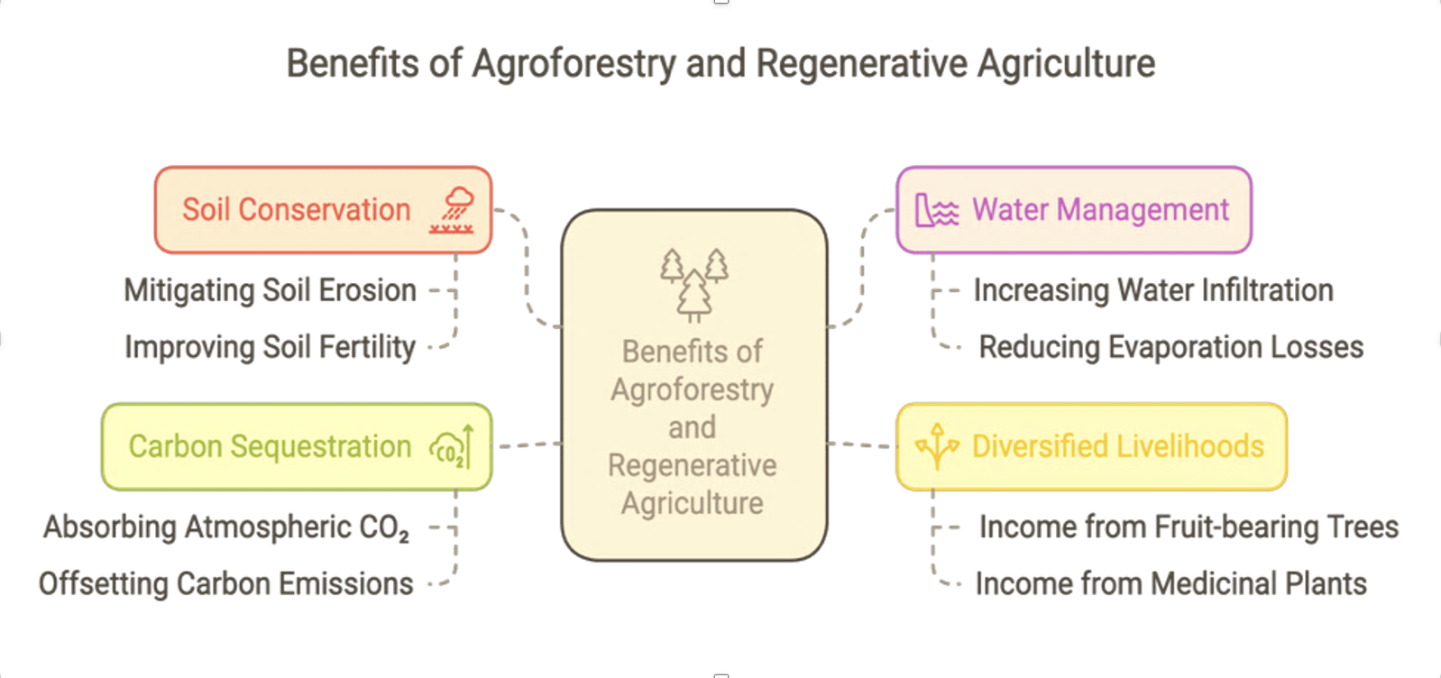 Benefits of Agroforestry and Regenerative Agriculture Diagram